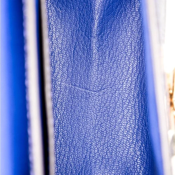 Louis Vuitton Python Twist Bag - Picture 5 of 5